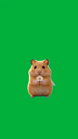 Hamster
