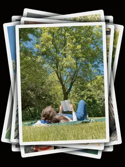 10Pic Clip Aesthetic