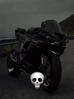 Bike lover