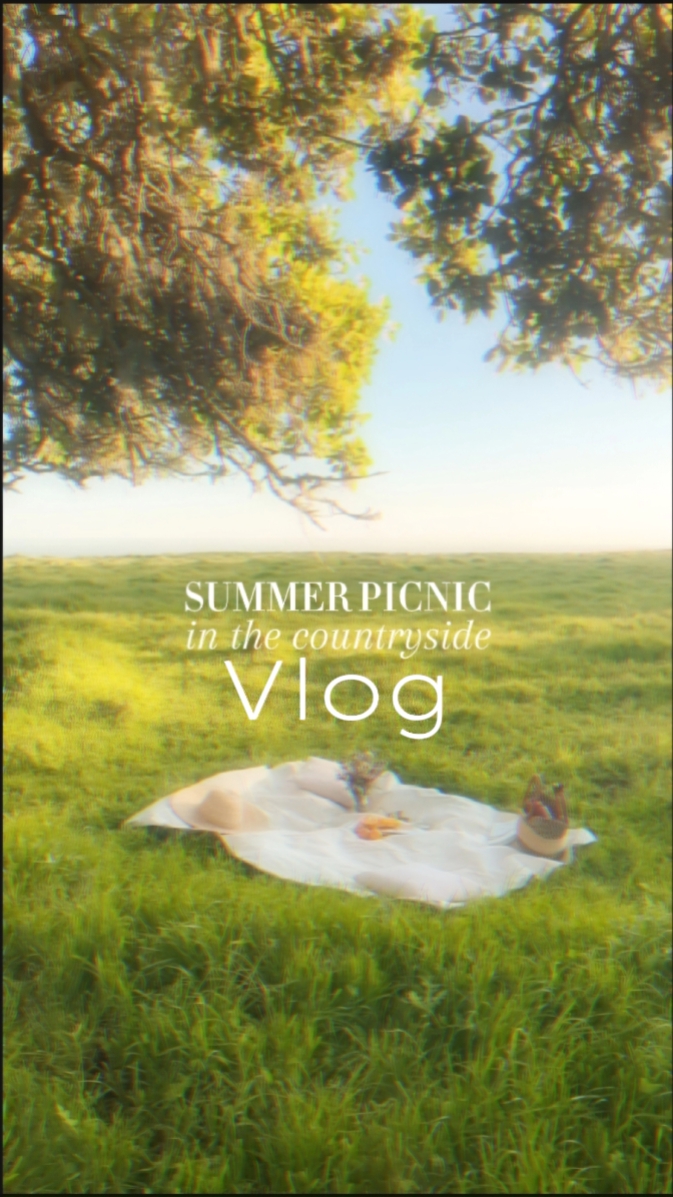 Picnic Vlog 