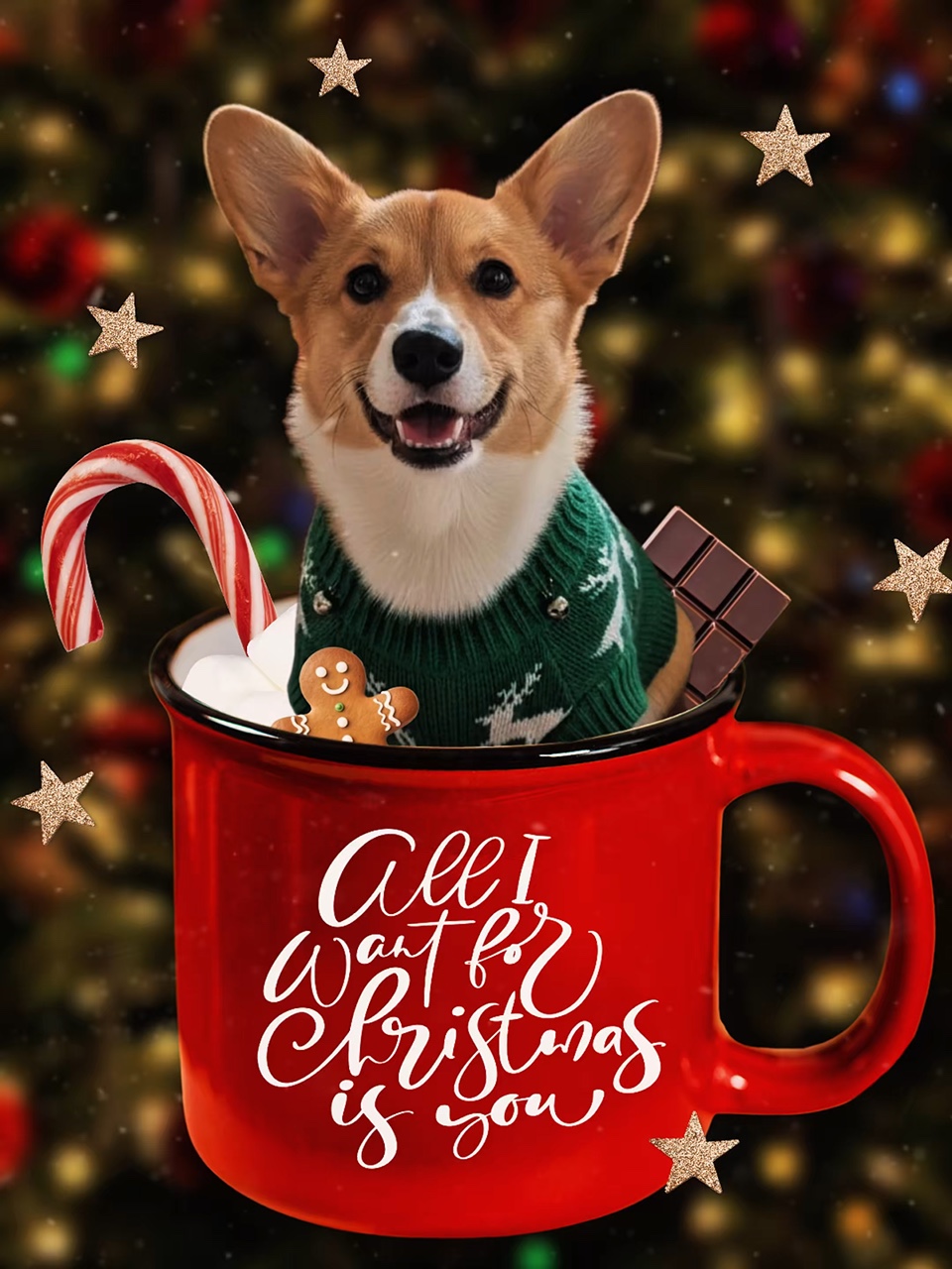 Christmas 2025 meme