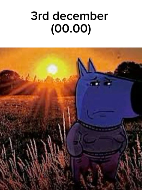 Chillguy não é nomore
