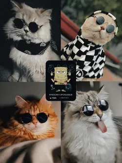 foto aesthetic kece 