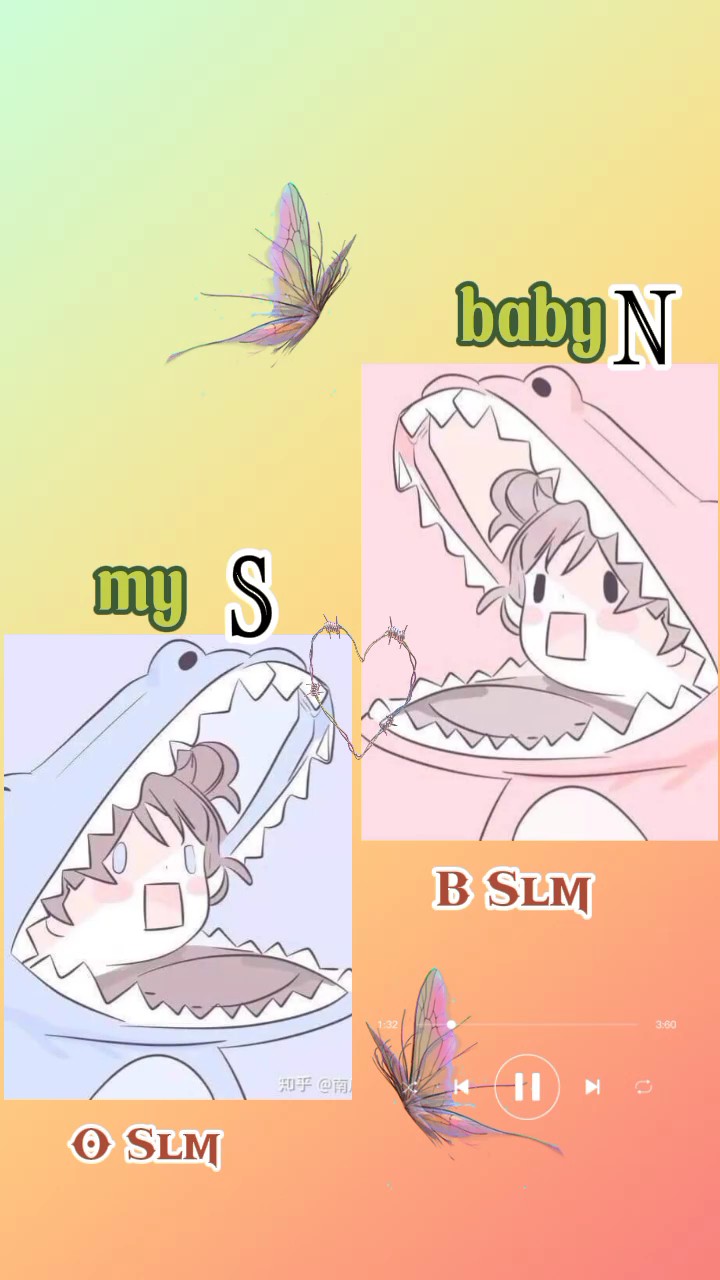 ហើយៗ S N