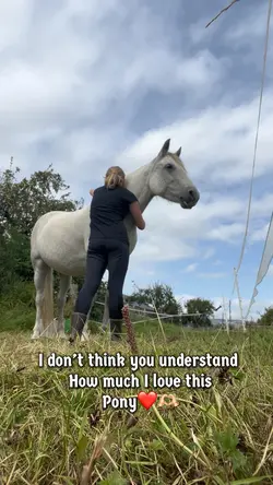 Love this pony❤️