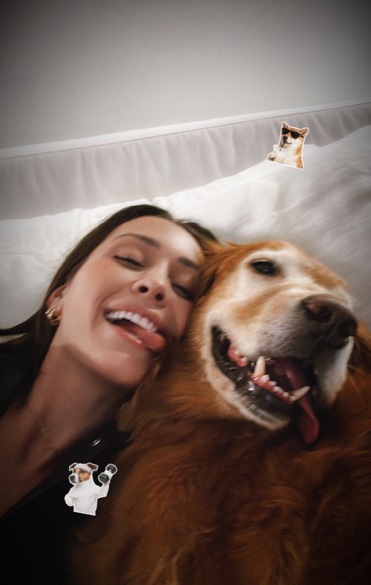 sevimli küçük köpek