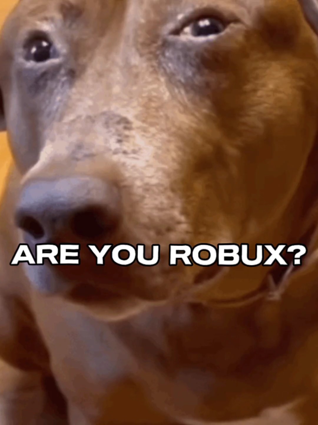 Another of my rizzes