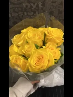 beautiful pictures<3