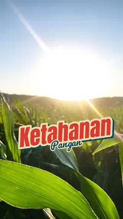 ketahanan pangan