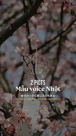 Mẫu voice Nhật