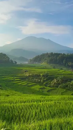 alam yang cerah