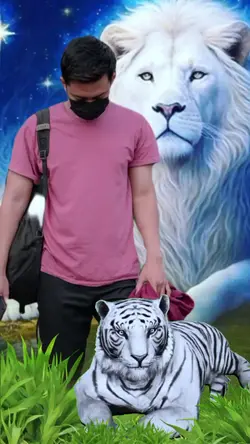 Macan Putih & Singa
