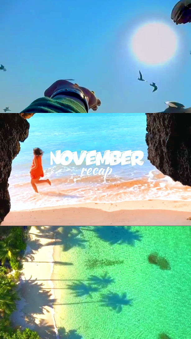 November recap