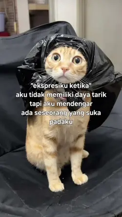 bisa dikomen yaaa