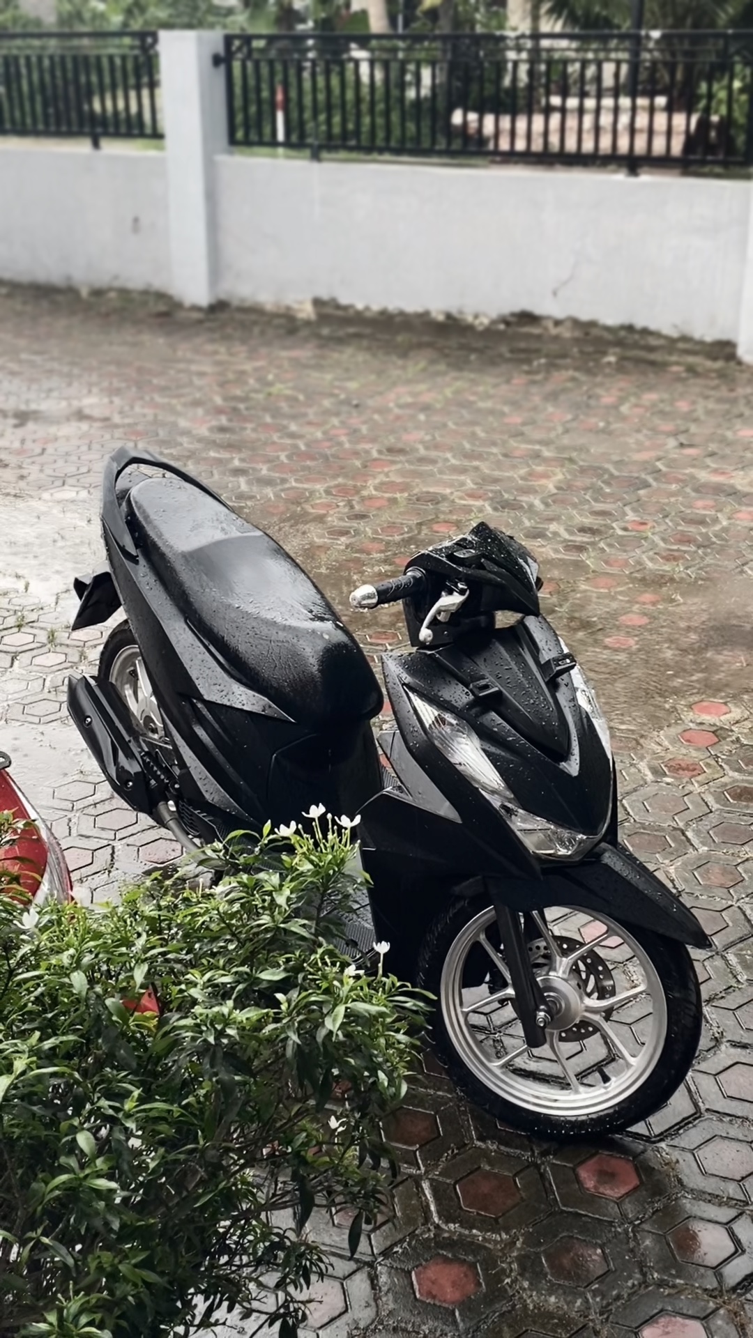 Cover Picture