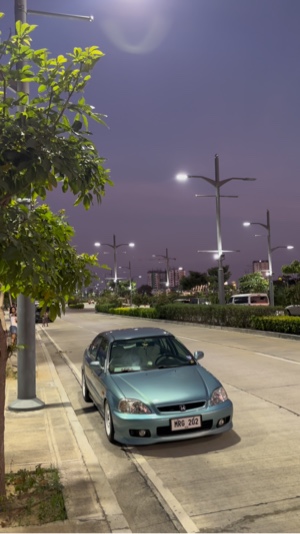 Cover Picture