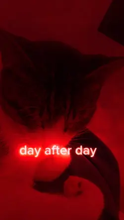 Day after day