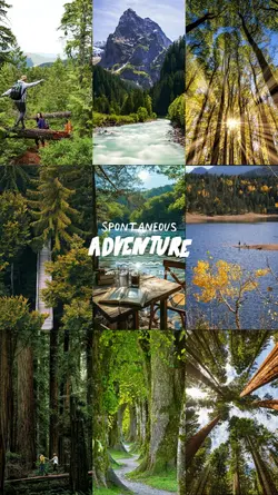 Adventure Vibes