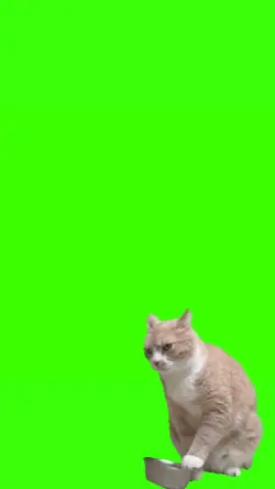 Hungry cat metalbowl