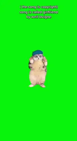 Cat dancing || viral