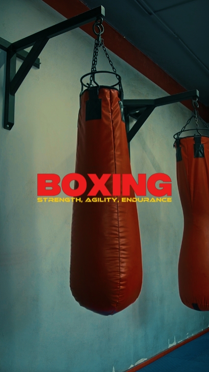 BOXE | EDIÇÃO PROFISSIONAL