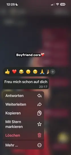 Boyfriend core