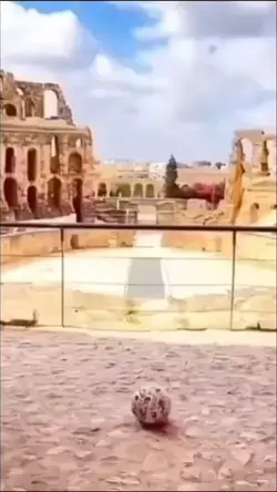 soccer fail 