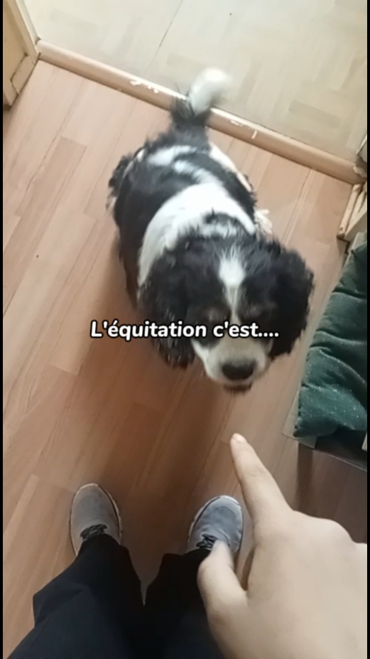 L'équitation c'est..