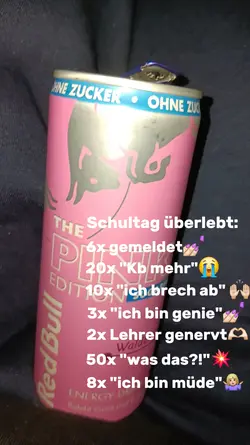 schultag überlebt