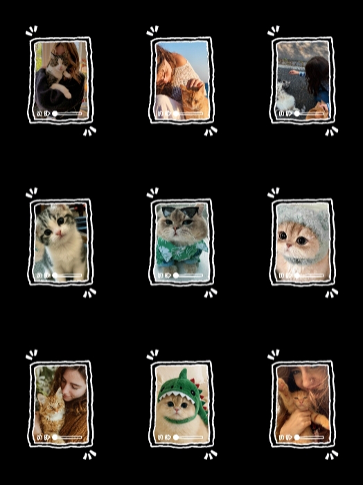 Kedi Hikayeleri