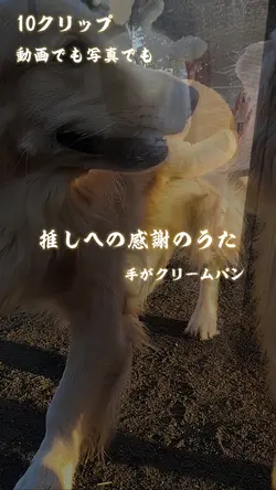推しへの感謝のうた