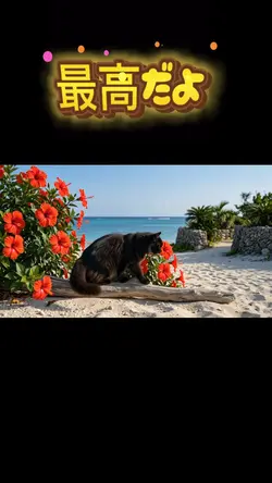 阿喜島と猫