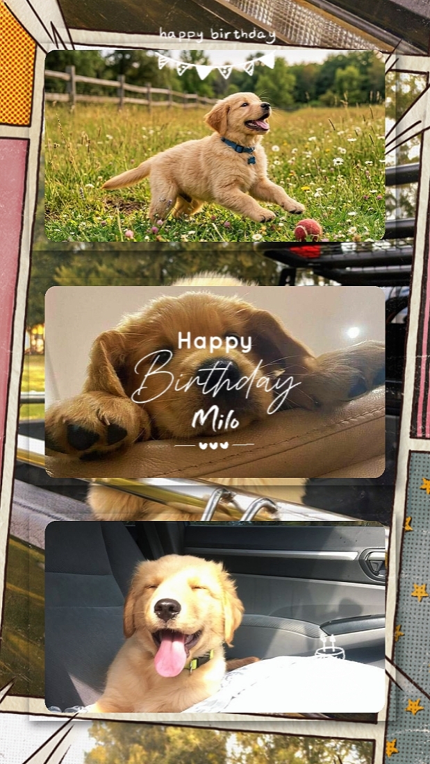 Feliz Aniversário Milo