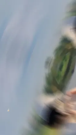 2 Ảnh Vòng Lặp