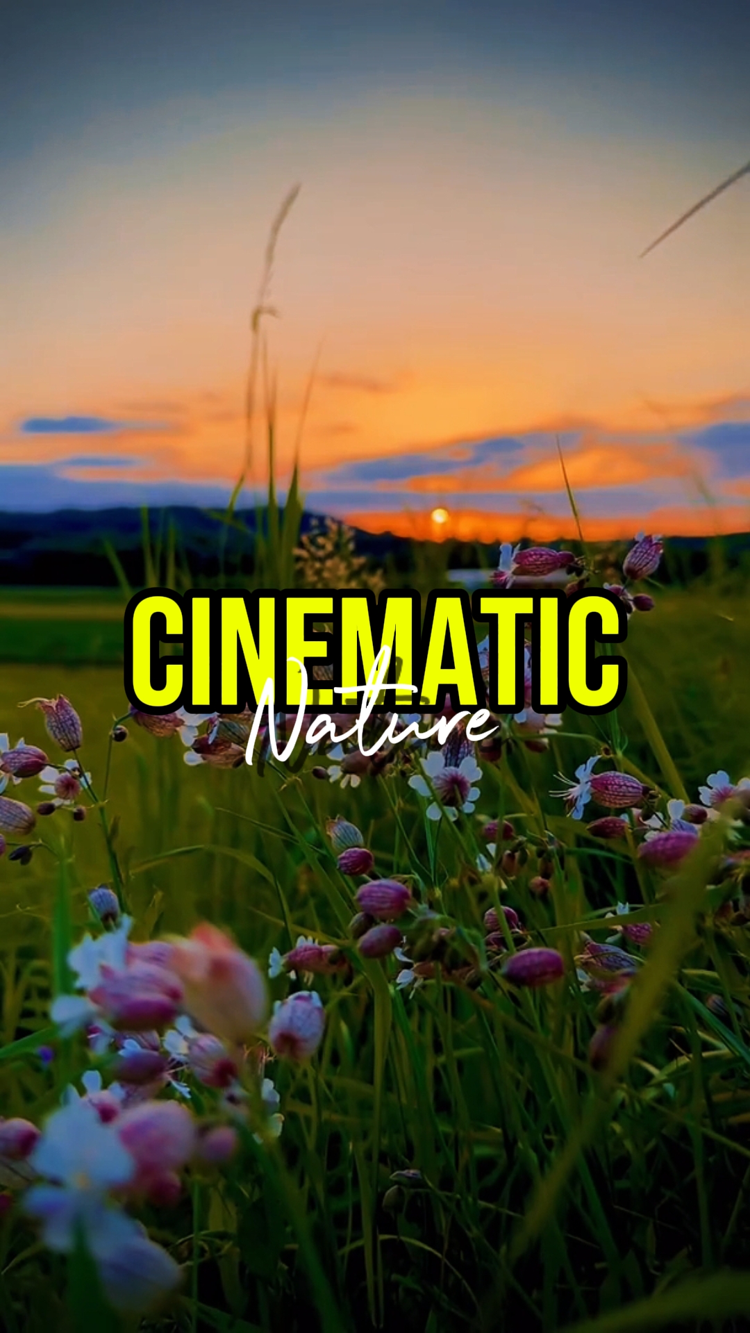CINEMATIC NATURE