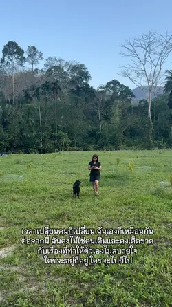 สตอรี่