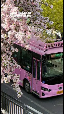 Cảnh đẹp Nhật Bản