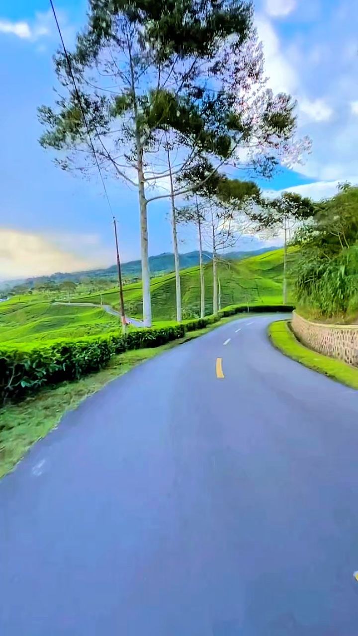 6 video jalan HD