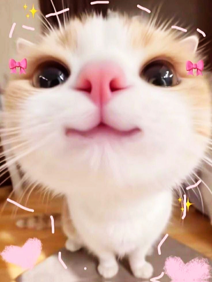 Transisi Lucu 