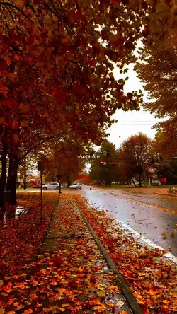Autumn / fal