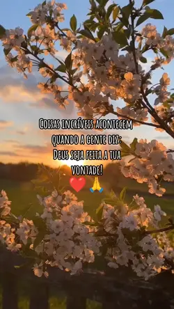coisas incríveis