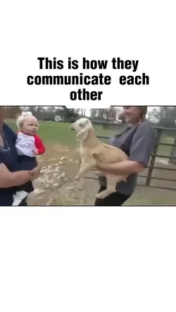 Communication 