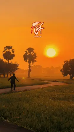 Tết ơi tết à