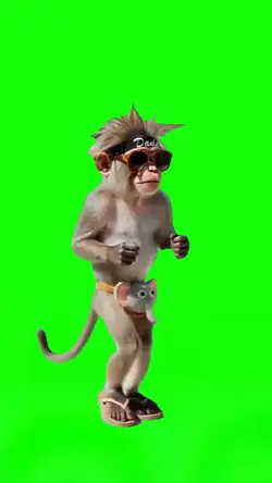 Funny Monkey