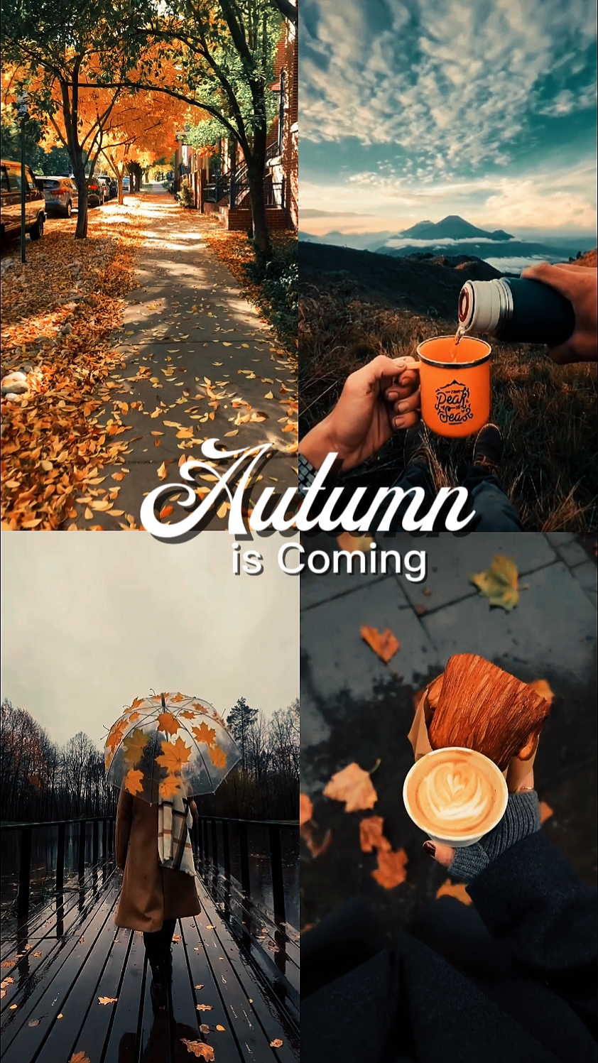 Autumn is Coming 