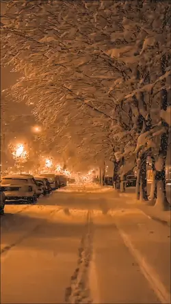 Böyle yürek görmedim