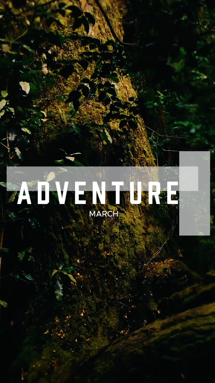 6 clips aventure 