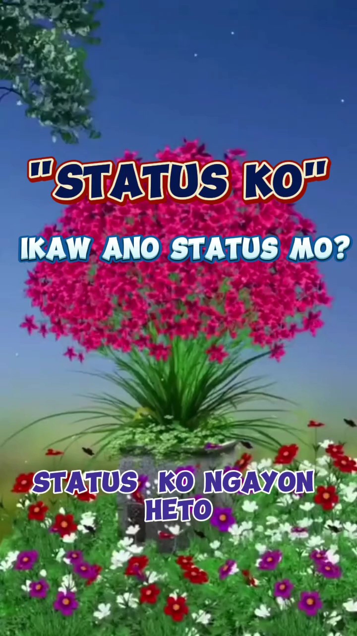 STATUS NG BUHAY KO 