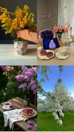 Hello spring