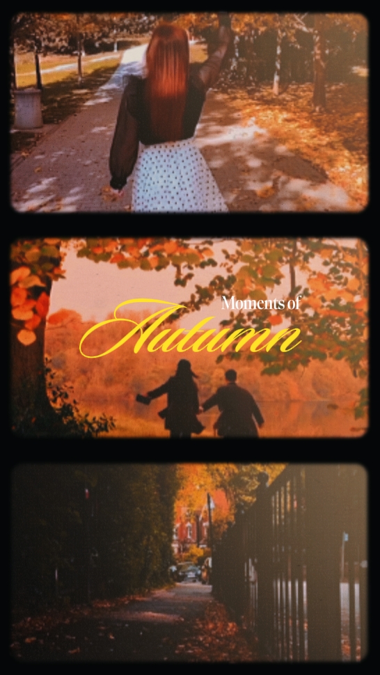 Moments of autumn